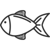 fish icon