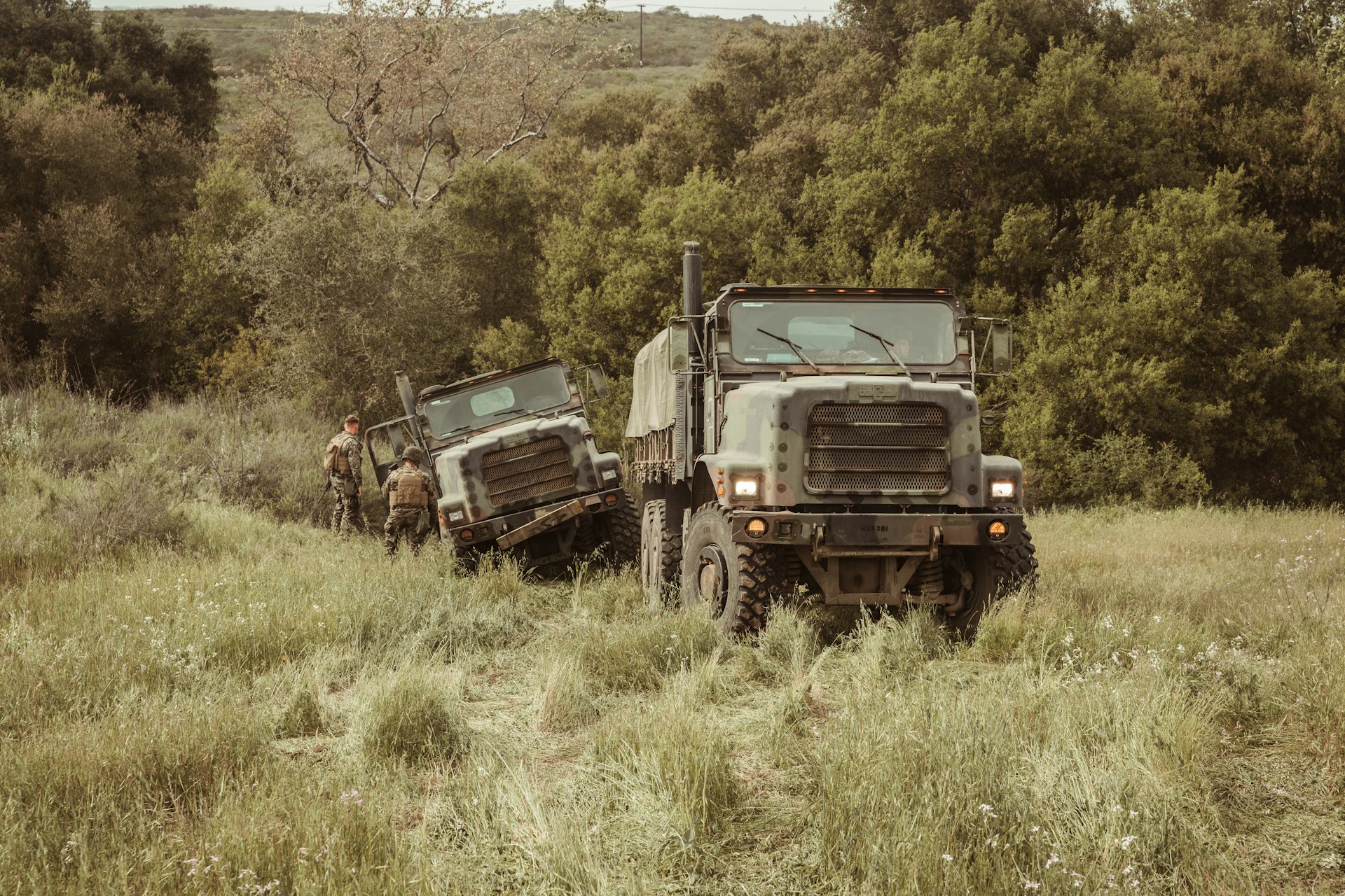 joel-rivera-camacho-0fPujIGNjL8-unsplash (1)