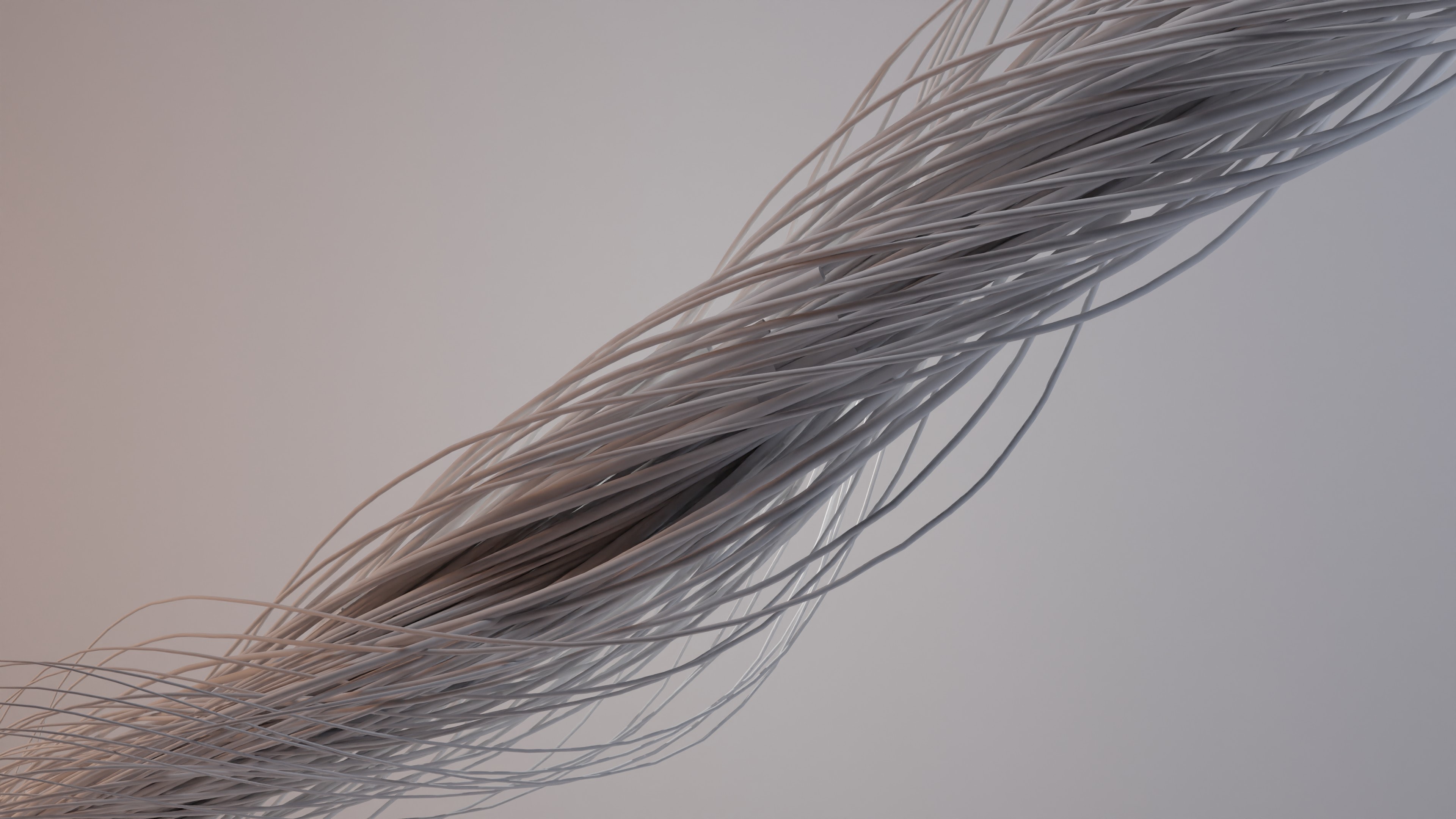 rendering of intertwined fibers